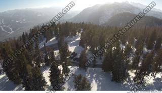 background forest snowy 0005